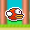 Flappy enojado