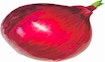 Cebolla
